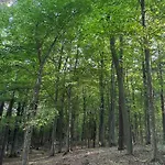 Stajnia 45 Κατάλυμα σε φάρμα Lipowo (Mragowo)