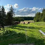 Stajnia 45 *