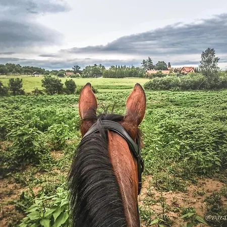 Stajnia 45 팜스테이