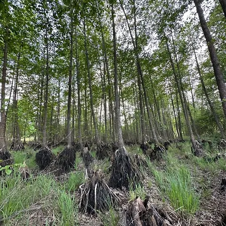 Stajnia 45 * Lipowo (Mragowo)