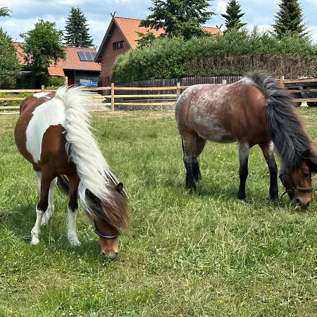 Stajnia Lipowo Gospodarstwo agroturystyczne