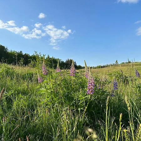 Stajnia 45 * Lipowo (Mragowo)