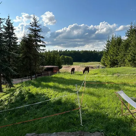 Stajnia 45 *