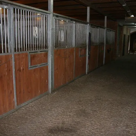 Stajnia 45 * Lipowo (Mragowo)