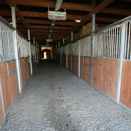 Stajnia 45 팜스테이